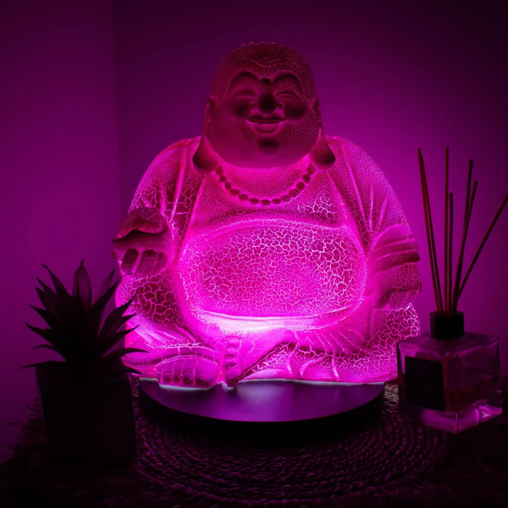 Colourful home decor trends. A glowing magenta laughing Buddha statue beside a small succulent and reed diffuser.