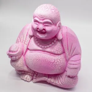 Laughing Buddha Lamp Dragonfruit. seated cross-legged with joyful smile against light background