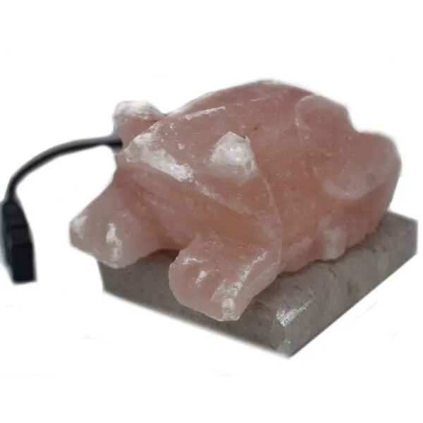 bG9jYWw6Ly9tZWRpYS85SC8yRC82MFIzMEMxRzZNU0syRDlILzhkZWRlY2YzLmpwZWc.webp USB Toad Shaped (Multi)