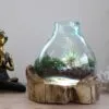 Molten Glass Large Fish Tank 3.7 litre (with light cavity)- 30cm