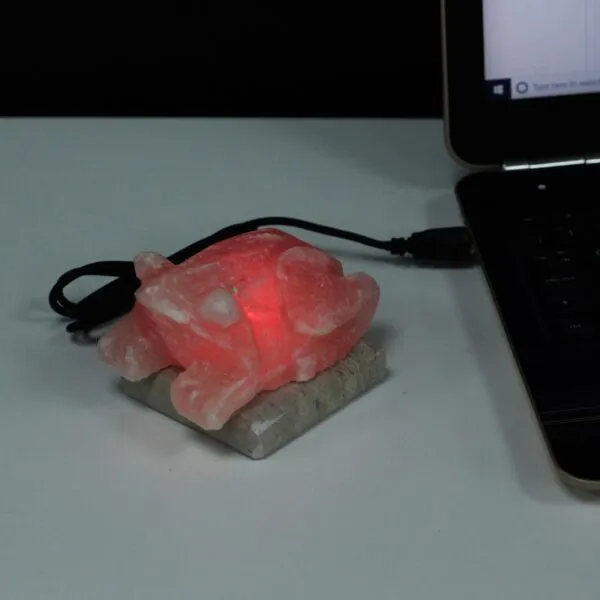 bG9jYWw6Ly9tZWRpYS85Si8yRC82MFIzMEMxRzZNU0syRDlKLzA2ZTMxZDE1LmpwZWc.webp USB Toad Shaped (Multi)