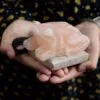 bG9jYWw6Ly9tZWRpYS85Sy8yRC82MFIzMEMxRzZNU0syRDlLL2Y1ZWQxODczLmpwZWc.webp USB Toad Shaped (Multi)