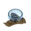 bG9jYWw6Ly9tZWRpYS85Sy9BRC82MFIzMEMxRzZSVjNBRDlLL2E4NTQxOGE1LmpwZWc.webp Molton Glass Mini Blue Bowl on Wood