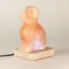 bG9jYWw6Ly9tZWRpYS85Ti8wRC82MFIzMEMxSjZNVjMwRDlOL2QwYjQwYmMxLmpwZw.webp USB Dog Shaped (Multi)