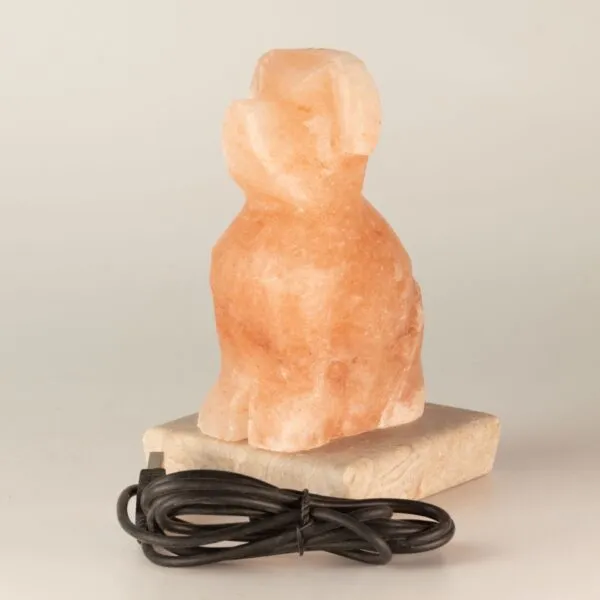 bG9jYWw6Ly9tZWRpYS85US8wRC82MFIzMEMxSjZNVjMwRDlRL2M3YzlmMzY5LmpwZw.webp USB Dog Shaped (Multi)