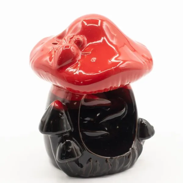 bG9jYWw6Ly9tZWRpYS8xSy9FRC82MFIzMEMxSjY4UzNFRDFLLzM2NDdlYzJjLmpwZw.webp Backflow Incense Burner - Large Red Mushroom