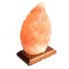 bG9jYWw6Ly9tZWRpYS8xTS84RC82MFIzMEMxRzZHV0s4RDFNL2RkZDYzMTQ4LmpwZWc.webp Shape Salt Lamp - Fern