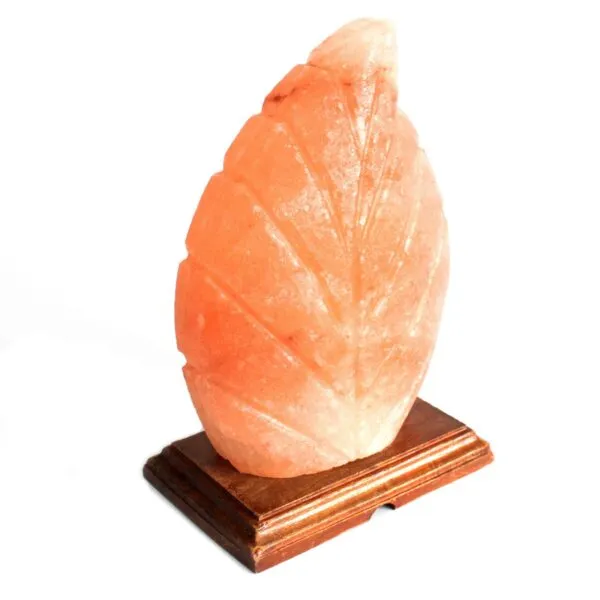 bG9jYWw6Ly9tZWRpYS8xTS84RC82MFIzMEMxRzZHV0s4RDFNL2RkZDYzMTQ4LmpwZWc.webp Shape Salt Lamp - Fern