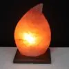 bG9jYWw6Ly9tZWRpYS8xTi84RC82MFIzMEMxRzZHV0s4RDFOLzIxMWNlZjZmLmpwZWc.webp Shape Salt Lamp - Fern