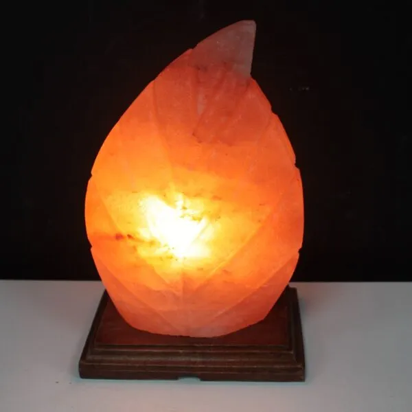 bG9jYWw6Ly9tZWRpYS8xTi84RC82MFIzMEMxRzZHV0s4RDFOLzIxMWNlZjZmLmpwZWc.webp Shape Salt Lamp - Fern
