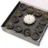 bG9jYWw6Ly9tZWRpYS8xTi9DRC82MFIzMEMxRzZHVzNDRDFOLzQ0ZDRmYjU4LmpwZWc.webp Box of 12 Resin Cups - Three Kings