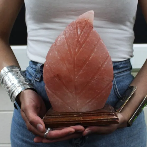 bG9jYWw6Ly9tZWRpYS8xUC84RC82MFIzMEMxRzZHV0s4RDFQL2E0YmRiZDI1LmpwZWc.webp Shape Salt Lamp - Fern