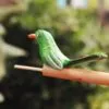 Bird Whistle