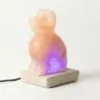 bG9jYWw6Ly9tZWRpYS9ISi8wRC82MFIzMEMxSjZNVjMwREhKLzJlMzE0NGE1LmdpZg.webp USB Dog Shaped (Multi)