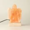 bG9jYWw6Ly9tZWRpYS9IUC84RC82MFIzMEMxSjZNVjM4REhQLzE4MjMyZTg3LmpwZw.webp USB Angel Shaped (Multi)