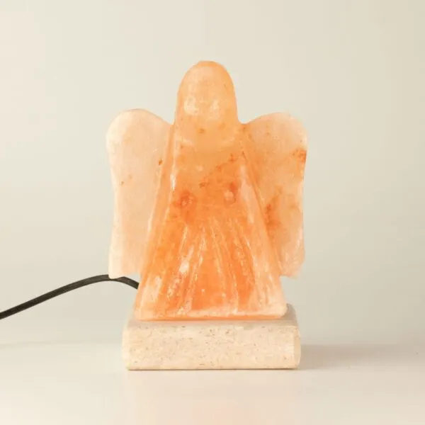 bG9jYWw6Ly9tZWRpYS9IUC84RC82MFIzMEMxSjZNVjM4REhQLzE4MjMyZTg3LmpwZw.webp USB Angel Shaped (Multi)