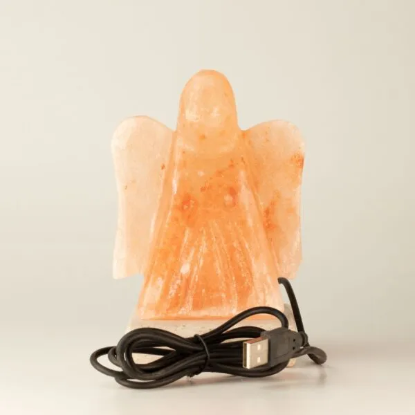 bG9jYWw6Ly9tZWRpYS9IUi84RC82MFIzMEMxSjZNVjM4REhSL2NhNDk1ODljLmpwZw.webp USB Angel Shaped (Multi)