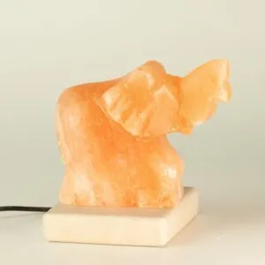 bG9jYWw6Ly9tZWRpYS9TRy8yQy82MFIzMEMxSjZNVjMyQ1NHLzZjNDM3YjQ0LmpwZw.webp USB Elephant Shaped (Multi)