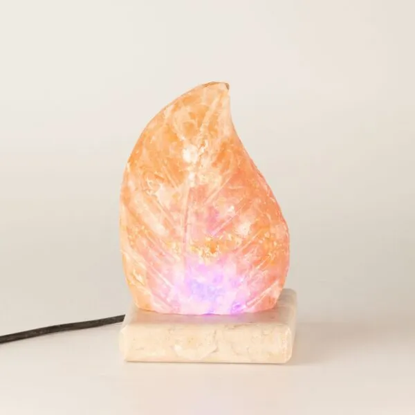USB leaf Shaped (Multi)