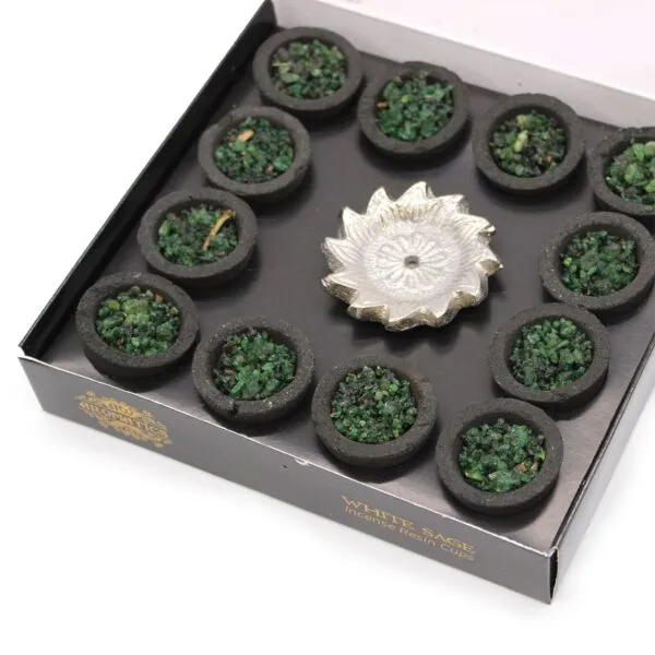 bG9jYWw6Ly9tZWRpYS9TTS9BRC82MFIzMEMxRzZNVEtBRFNNL2M3NTQxZjk2LmpwZWc.webp Box of 12 Resin Cups - White Sage