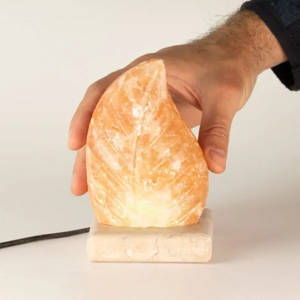 USB leaf Shaped (Multi)
