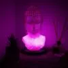 Buddha Bust Lamp Cherry Crackle - Oval stand