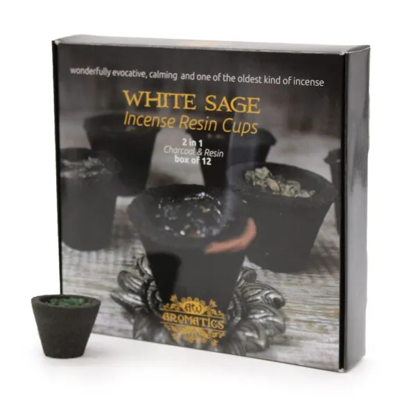 bG9jYWw6Ly9tZWRpYS9TTi9BRC82MFIzMEMxRzZNVEtBRFNOL2VkYmRmY2ZjLmpwZWc.webp Box of 12 Resin Cups - White Sage