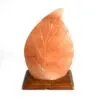 Leaf Shaped Salt Lamp Himalayan Rock Salt Pink Wooden Base Leaf-shaped pink Himalayan salt lamp with carved veins on a square wooden base.
