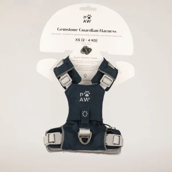 PAW - XS (2-4Kg) Dog Step-in Guardian Harness with Reflective Mesh - Rock Grey - Black Obsidian Charm
