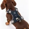 PAW - XS (2-4Kg) Dog Step-in Guardian Harness with Reflective Mesh - Rock Grey - Black Obsidian Charm