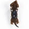 PAW - XS (2-4Kg) Dog Step-in Guardian Harness with Reflective Mesh - Rock Grey - Black Obsidian Charm