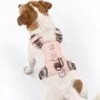 bG9jYWw6Ly9tZWRpYS85Si84RC82MFIzMEMxSjZSVEs4RDlKLzQ5MTk4YmM5LnBuZw.webp PAW - S (4-8Kg) Dog Step-in Guardian Harness with Reflective Mesh - Soft Pink - Rose Quartz Charm