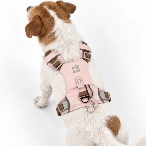 bG9jYWw6Ly9tZWRpYS85Si84RC82MFIzMEMxSjZSVEs4RDlKLzQ5MTk4YmM5LnBuZw.webp PAW - S (4-8Kg) Dog Step-in Guardian Harness with Reflective Mesh - Soft Pink - Rose Quartz Charm