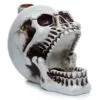bG9jYWw6Ly9tZWRpYS85Si9DRC82MFIzMEMxRzZSVDNDRDlKL2FjYzM5ZjFlLmpwZWc.webp Skull with Open Mouth Backflow Incense Burner