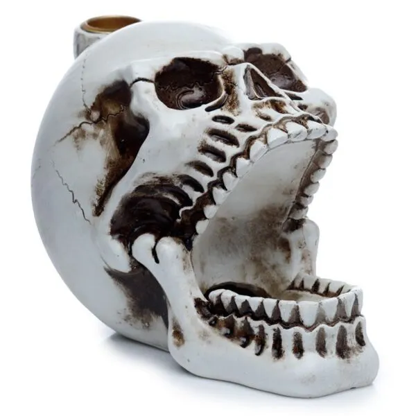 bG9jYWw6Ly9tZWRpYS85Si9DRC82MFIzMEMxRzZSVDNDRDlKL2FjYzM5ZjFlLmpwZWc.webp Skull with Open Mouth Backflow Incense Burner