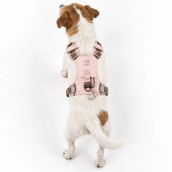 bG9jYWw6Ly9tZWRpYS85Sy84RC82MFIzMEMxSjZSVEs4RDlLLzBkYWRlMmI2LnBuZw.webp PAW - S (4-8Kg) Dog Step-in Guardian Harness with Reflective Mesh - Soft Pink - Rose Quartz Charm
