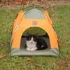 PAW Bed – Green & Orange Tent – 48 × 48 × 40cm