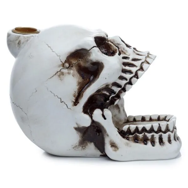 bG9jYWw6Ly9tZWRpYS85Sy9DRC82MFIzMEMxRzZSVDNDRDlLLzUwNDk4YjM0LmpwZWc.webp Skull with Open Mouth Backflow Incense Burner