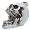 bG9jYWw6Ly9tZWRpYS85TS9DRC82MFIzMEMxRzZSVDNDRDlNL2M1OGU5OTRlLmpwZWc.webp Skull with Open Mouth Backflow Incense Burner