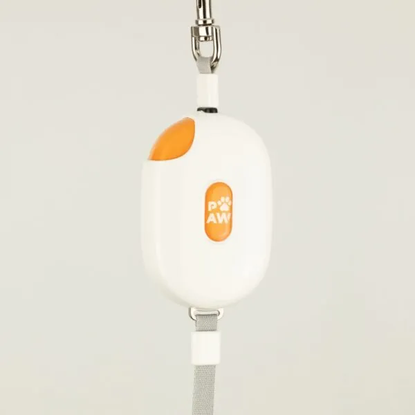 Paw Pet Leash - Pocket Pod - White - 1.5m