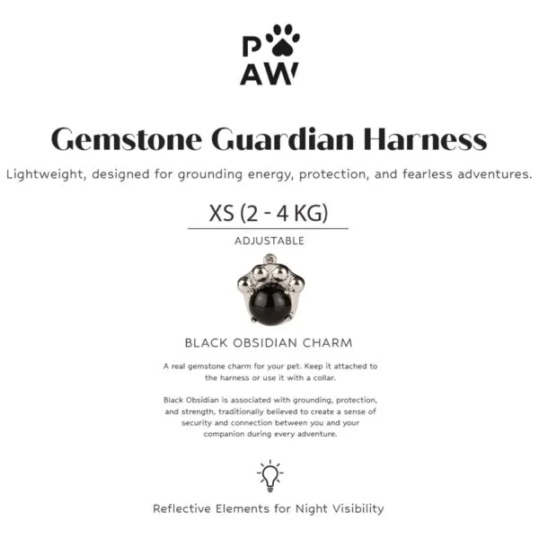 PAW - XS (2-4Kg) Dog Step-in Guardian Harness with Reflective Mesh - Rock Grey - Black Obsidian Charm