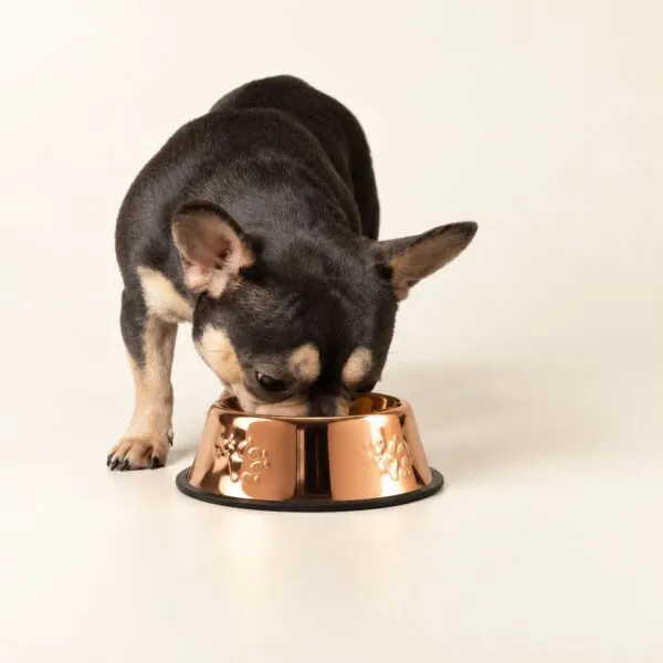 PAW Food Bowls - Single Copper Style - 18cm - Stainless Steel (304)