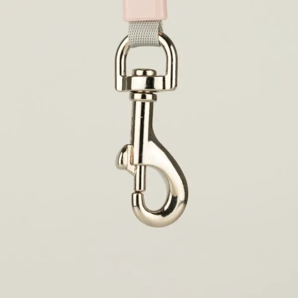 Paw Pet Leash - Mini Mango - Plum - 3m