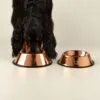 PAW Food Bowls -  Single Copper Style - 22cm - Stainless Steel (304)
