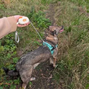 bG9jYWw6Ly9tZWRpYS85US9HRS82MFIzMEMxSjZSVEtHRTlRLzE1MTg5MTM0LnBuZw.webp Paw Pet Leash - Pocket Pod - White - 1.5m
