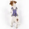PAW - S (4-8Kg) Dog Step-in Guardian Harness with Reflective Mesh - Lavender - Amethyst Charm