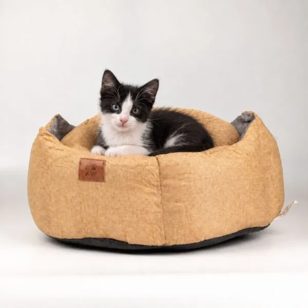 bG9jYWw6Ly9tZWRpYS8xRy8yQy82MFIzMEMxSjZSVzMyQzFHLzI3MzM1ODE4LnBuZw.webp Paw Bed – Medium Royal Crown – Sand & Grey – 50 × 50 × 26cm