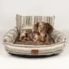 bG9jYWw6Ly9tZWRpYS8xRy9KQy82MFIzMEMxSjZSVktKQzFHLzJiNjY1NjViLnBuZw.webp PAW Bed – Small Sofa – Brown Stripes – 50 × 50 × 26cm
