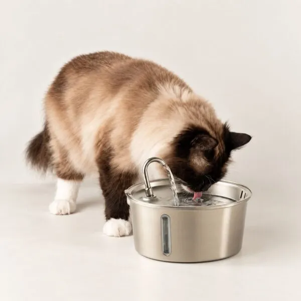 PAW Food Bowls - Electric Water Fountain 2.5 Liter - USB - Stainless Steel (304)