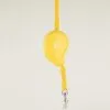 Paw Pet Leash - Mini Mango - Yellow - 3m